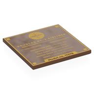 Деталь LEGO Tile 6 x 6 with Gold 'DOUGLAS DC-3 AIRLINER', Stats print, Красно-коричневый