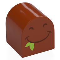Деталь LEGO Duplo Brick 2 x 2 x 2 Curved Top with Black Eyes, Smiling Mouth, Lime Leaf print, Темно-оранжевый