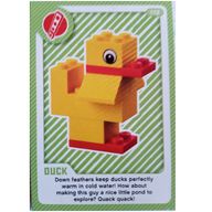 Деталь LEGO Trading Card, Create the World Living Amazingly - Duck, Цвет не указан/любой