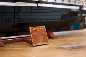 Набор LEGO The Endurance