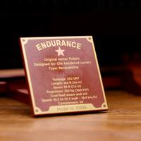 Набор LEGO The Endurance