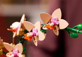 Набор LEGO Mini Orchid