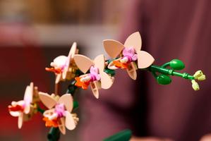 Набор LEGO Mini Orchid