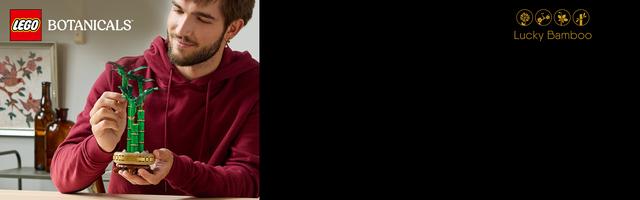 Набор LEGO Lucky Bamboo