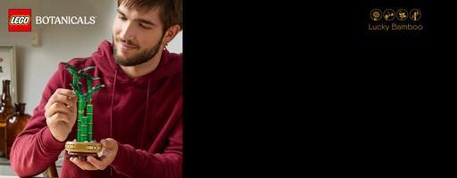Набор LEGO Lucky Bamboo