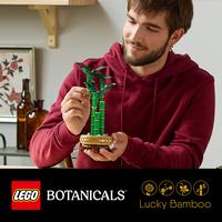 Набор LEGO Lucky Bamboo