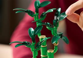 Набор LEGO Lucky Bamboo