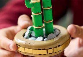 Набор LEGO Lucky Bamboo