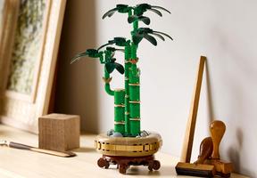 Набор LEGO Lucky Bamboo