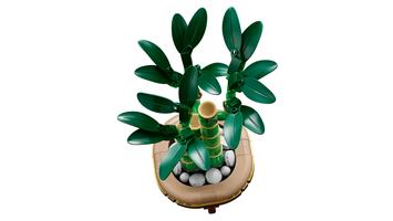 Набор LEGO Lucky Bamboo