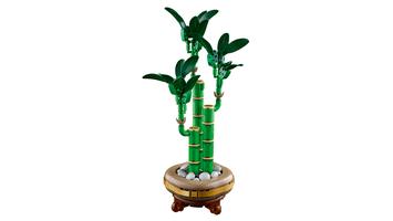 Набор LEGO Lucky Bamboo