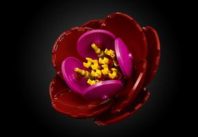 Набор LEGO Flower Arrangement