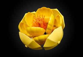 Набор LEGO Flower Arrangement