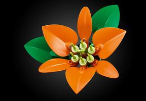 Набор LEGO Flower Arrangement