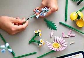 Набор LEGO Petite Sunny Bouquet