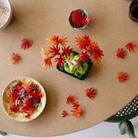 Набор LEGO Japanese Red Maple Bonsai Tree