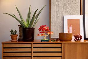 Набор LEGO Japanese Red Maple Bonsai Tree