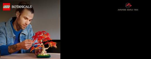Набор LEGO Japanese Red Maple Bonsai Tree