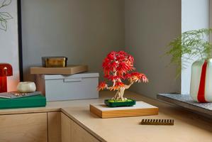 Набор LEGO Japanese Red Maple Bonsai Tree