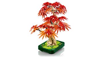 Набор LEGO Japanese Red Maple Bonsai Tree