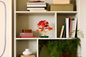 Набор LEGO Japanese Red Maple Bonsai Tree