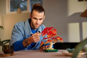 Набор LEGO Japanese Red Maple Bonsai Tree