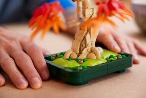 Набор LEGO Japanese Red Maple Bonsai Tree