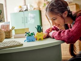 Набор LEGO Happy Plants