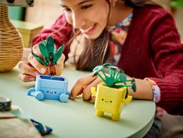 Набор LEGO Happy Plants