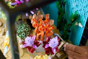 Набор LEGO Tropical Aquarium