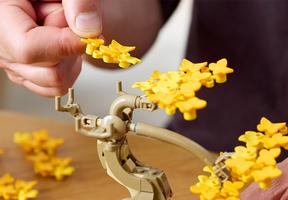 Набор LEGO Mini Bonsai Trees
