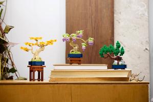 Набор LEGO Mini Bonsai Trees