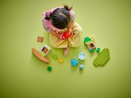 Набор LEGO Balancing & Stacking Tree