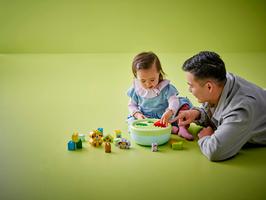 Набор LEGO Shape Sorter: Puppy House