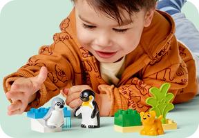 Набор LEGO Wild Animal Families: Penguins & Lions