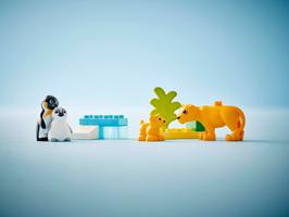 Набор LEGO Wild Animal Families: Penguins & Lions