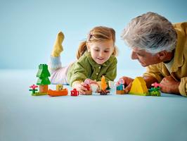 Набор LEGO Camping Trip