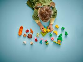 Набор LEGO Camping Trip