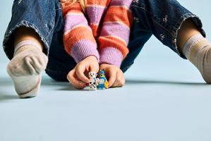 Набор LEGO Playground Fun with Bluey