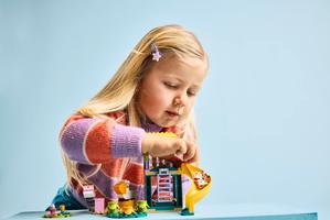 Набор LEGO Playground Fun with Bluey