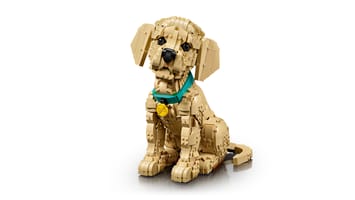 Набор LEGO 11384 Щенок золотистого ретривера