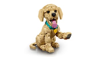 Набор LEGO Щенок золотистого ретривера