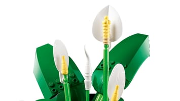 Набор LEGO Спатифиллум
