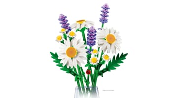 Набор LEGO 11508 Маргаритки