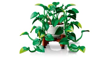 Набор LEGO Подвесной золотистый эпипремнум