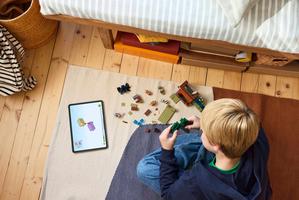 Набор LEGO The Armadillo Mine Expedition