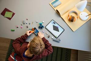 Набор LEGO The Warden Encounter