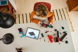 Набор LEGO The Enderman Tower