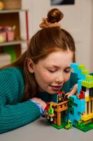 Набор LEGO The Parrot Houses