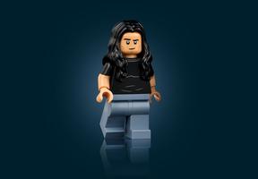 Набор LEGO Twilight The Cullen House